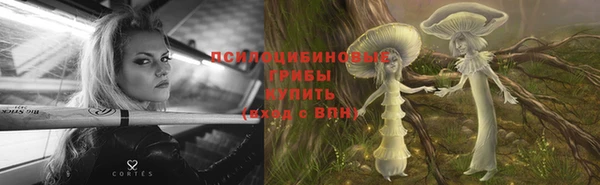 мет Богданович