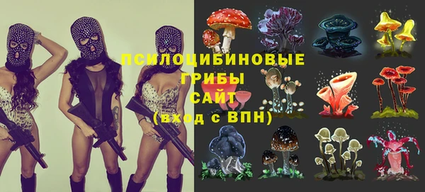 ешки Богородицк