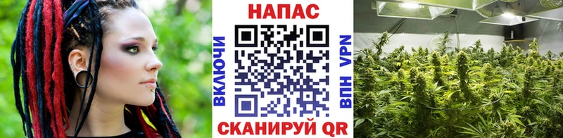 kraken tor  Ульяновск  Каннабис THC 21% 